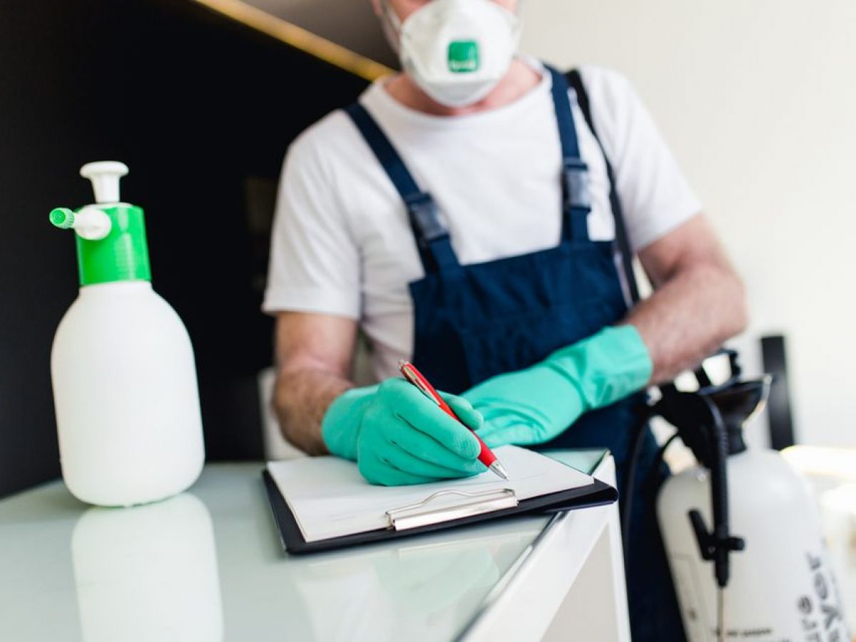 Pest Control Services: Essential for a Healthy Home Environment