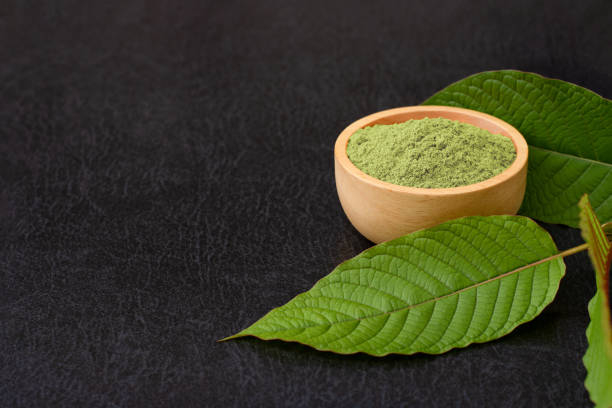 The Power of White Sumatra Kratom Explained