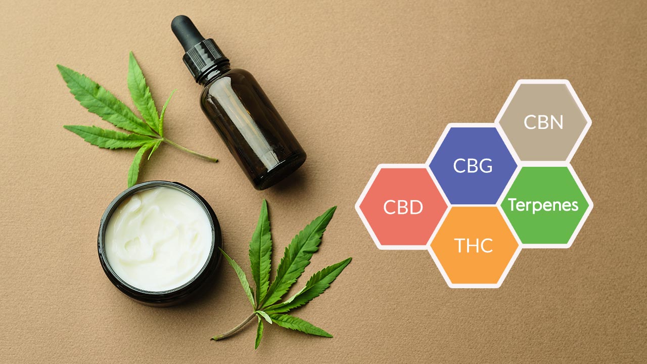 Why Full Spectrum CBD Oil Is a Game-Changer for Canadians